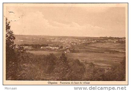 Oignies - Panorama Du Haut Du Village - Philippeville