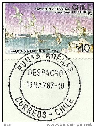 ENVELOPPE - Association Latitudes Sud - CHILI - 13/03/1987 - Antarctic Expeditions