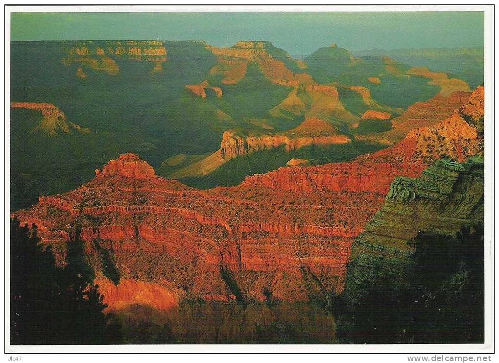 - USA - GRAND CANYON NATIONALPARK, ARIZONA. - Post Card - Bon état - Voir Scan - - Gran Cañon