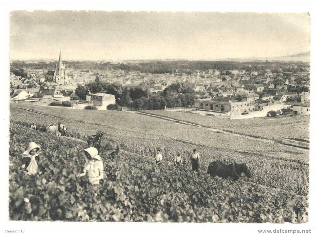 51 - AY -  Vue Générale - Premier Cru De Raisins Noirs - Animée : Travail Dans Les Vignes, Femmes, Hommes Et Chevaux - Ay En Champagne