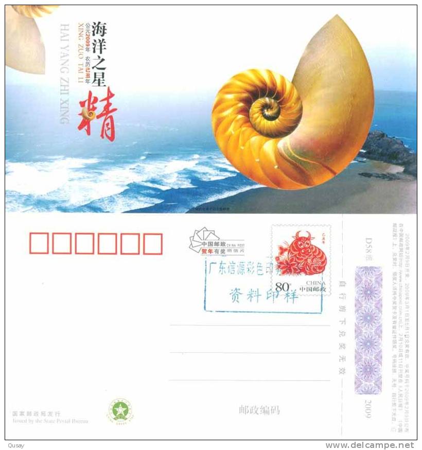 Coneshell Shell   , Specimen  Prepaid Card , Postal Stationery - Conchas