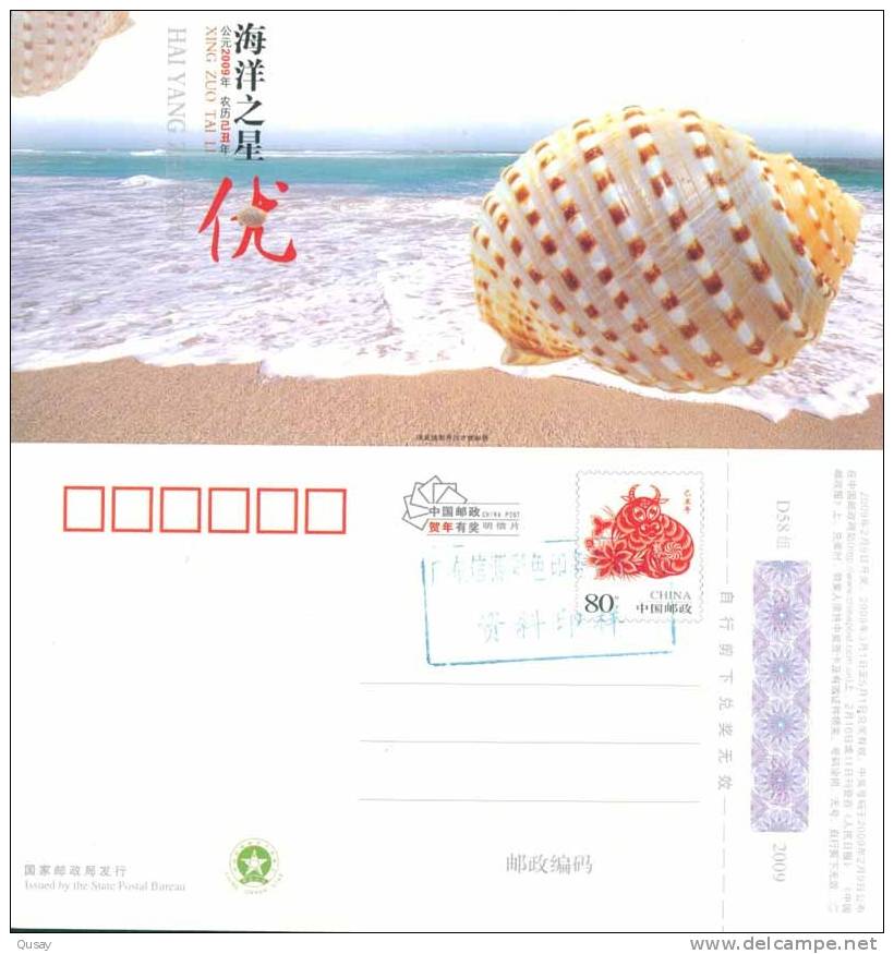 Coneshell Shell   , Specimen  Prepaid Card , Postal Stationery - Conchas