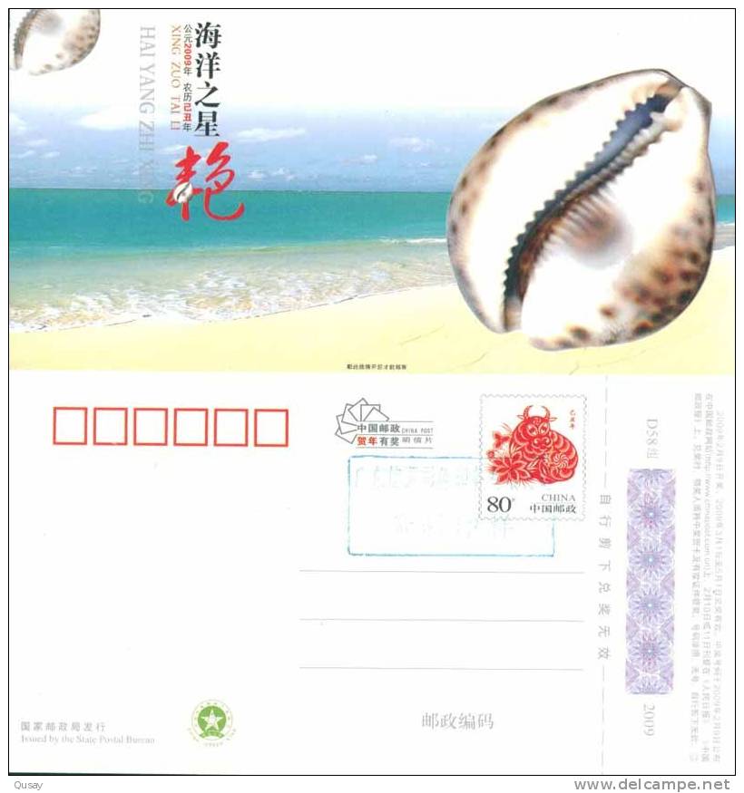 Coneshell Shell   , Specimen  Prepaid Card , Postal Stationery - Coneshells