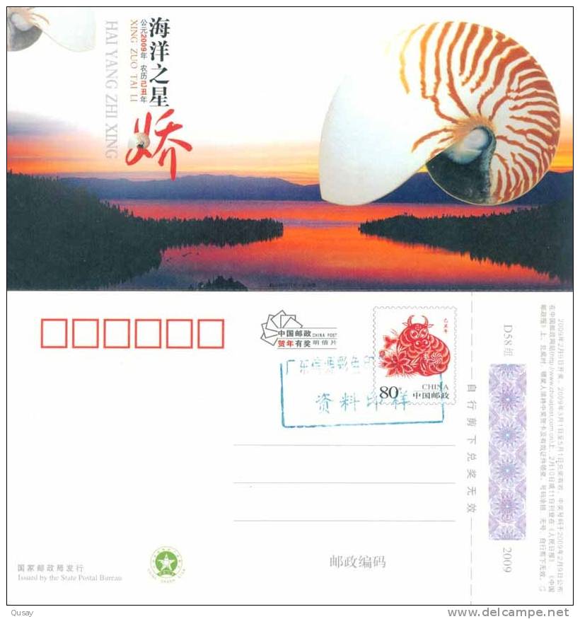 Coneshell Shell   , Specimen  Prepaid Card , Postal Stationery - Conchas