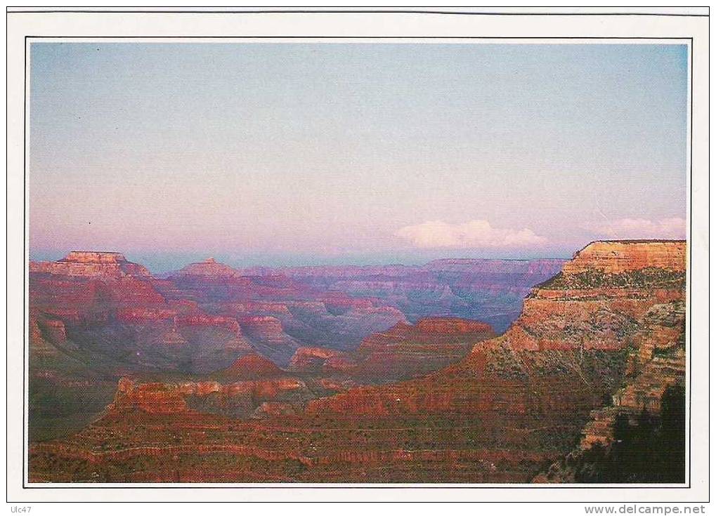 - USA -  ARIZONA -  THE GRAND CANYON  -  Postcard - Bon état - Scan - - Grand Canyon