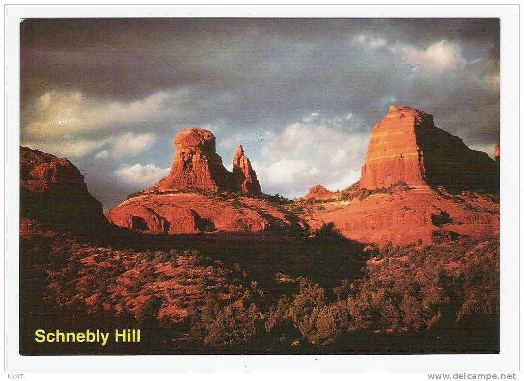 - USA - The Most Spectacular Drivein Arizona Is On The Road To The Top Of Schnebly Hill In Sedona - Postcard - Scan - - Sedona