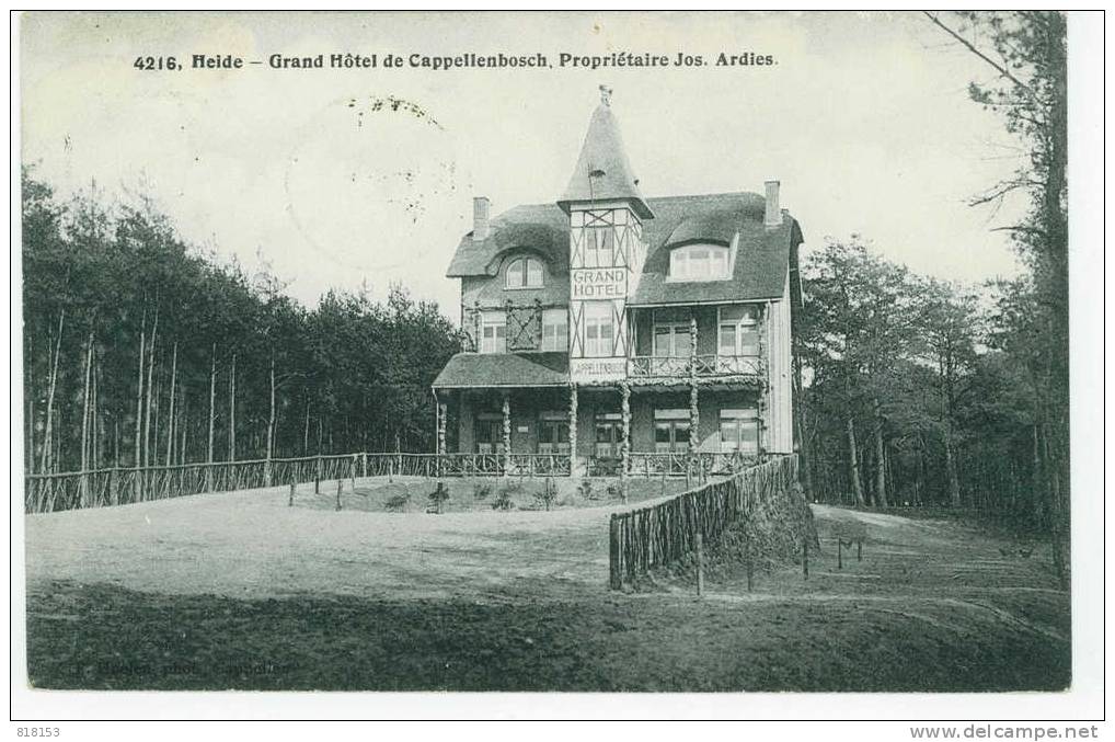 4216, Heide - Grand Hôtel De Cappellenbosch, Propriétaire Jos. Ardies - Kalmthout