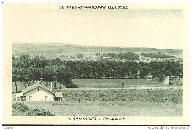 1 - GRISOLLES - VUE GENERALE - Grisolles