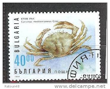 Crabe    - Oblitéré -BULGARIE -   N°3687 -Y&T - Crustacés