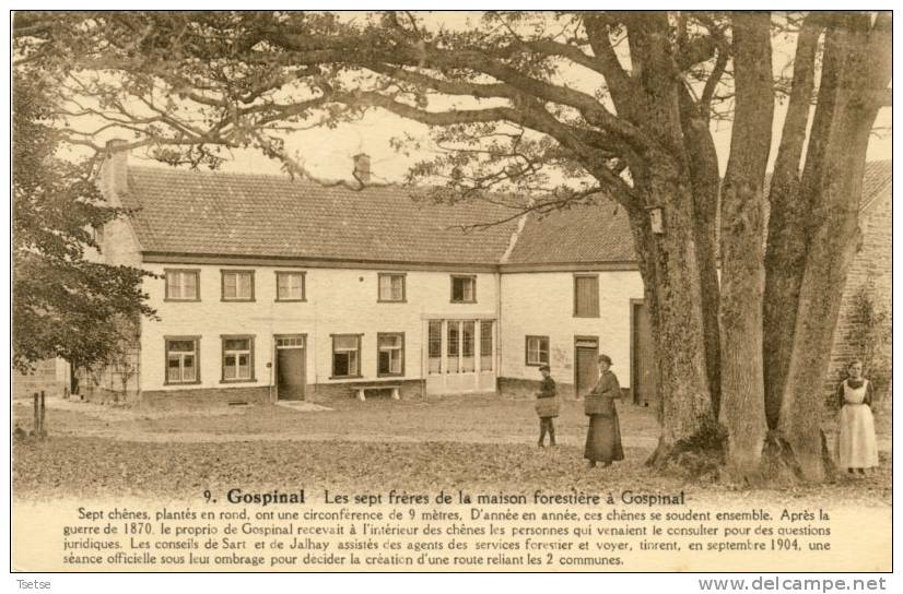 Gospinal - Les Sept Frères De La Maison Forestière ( Historique ) - Jalhay