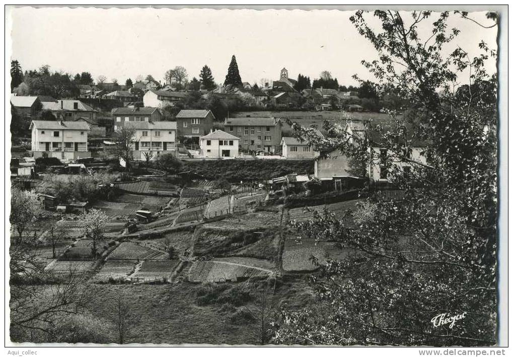 CHATEAUNEUF LA FORET  87 HAUTE-VIENNE  VUE GENERALE - Chateauneuf La Foret