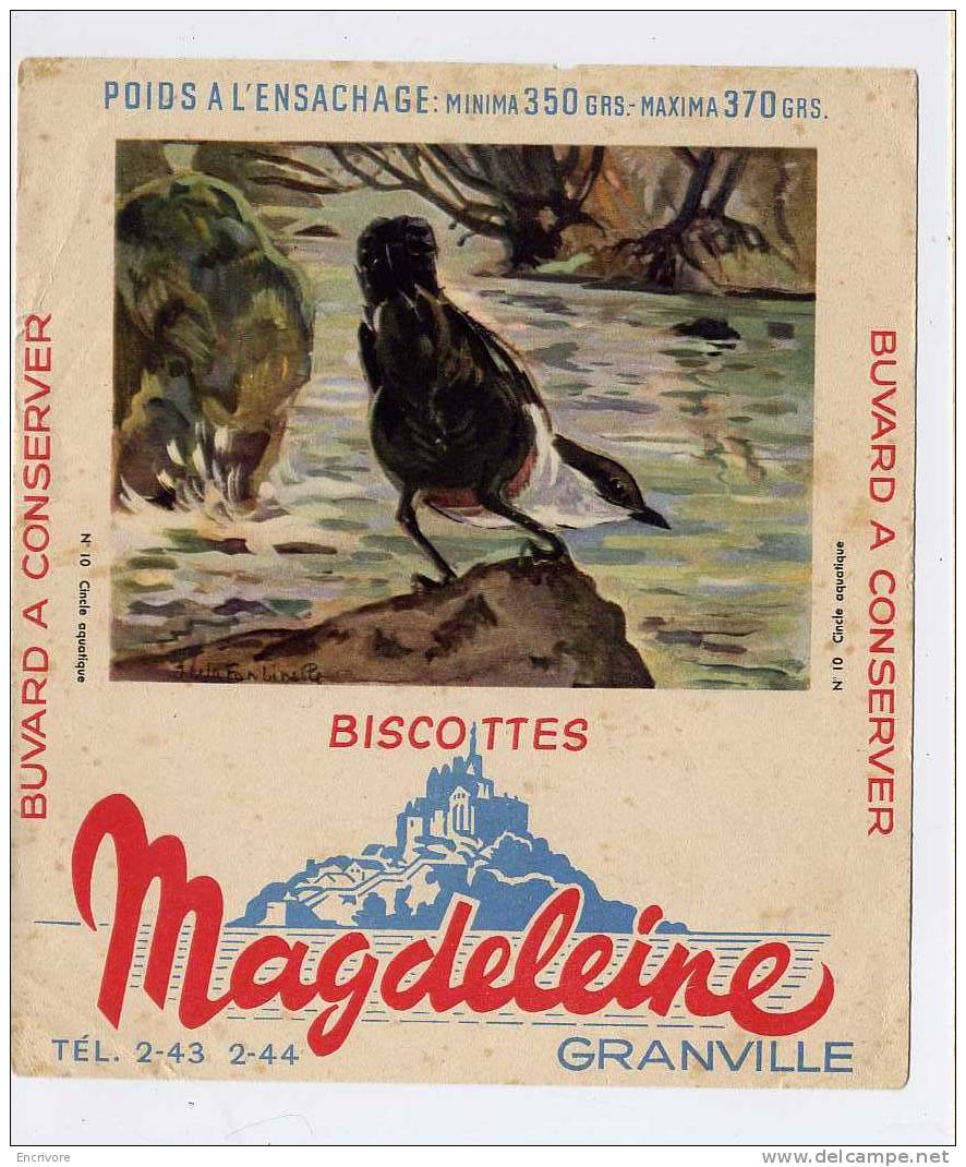 Buvard Biscottes MAGDELEINE Cincle Aquatiquel - Serie Oiseaux N°10 - Zwieback