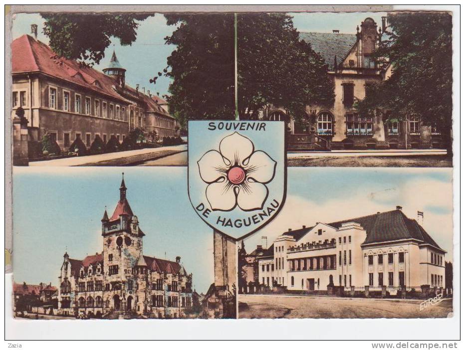 67.127/ Souvenir De HAGUENAU (cpsm ) - Haguenau