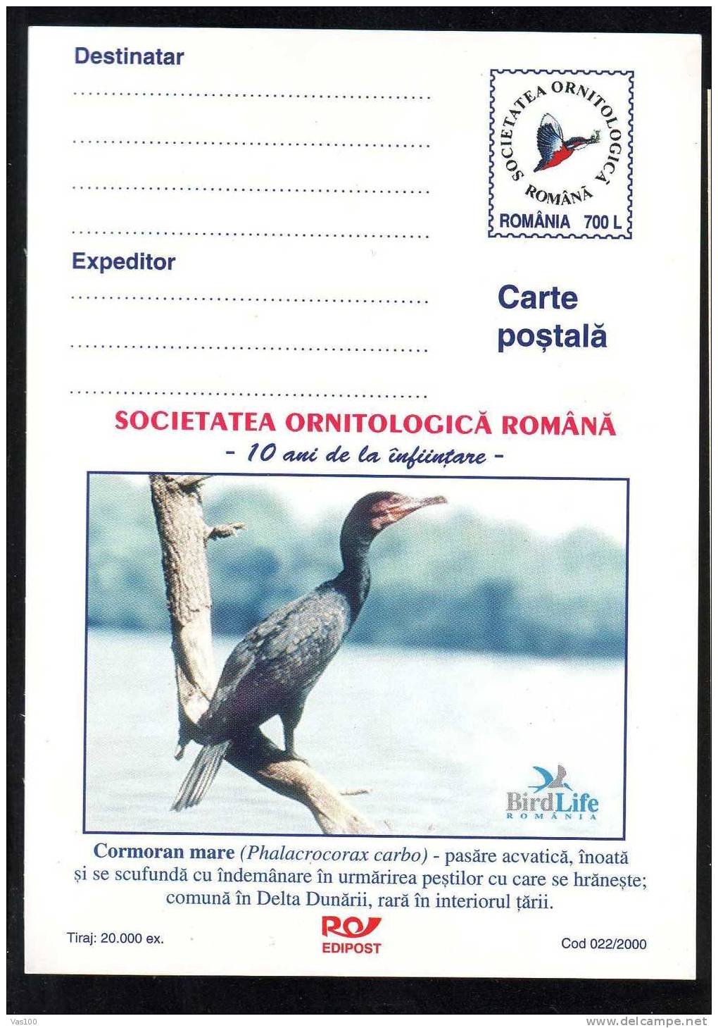 Bird "PHALACROCORAX CARBO", Stationery Postcard 2000 Romania. - Albatros