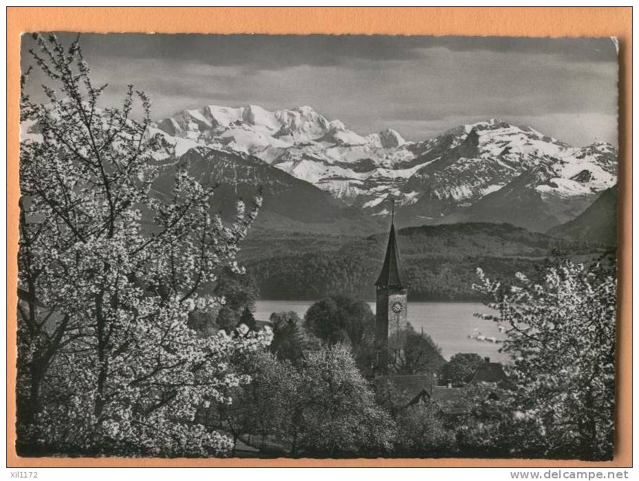 H693 Hilterfingen Am Thunersee Kirche Blumlisalp,cerisiers En Fleurs.Cachet Hilterfingen 1949. Baur 633 - Hilterfingen