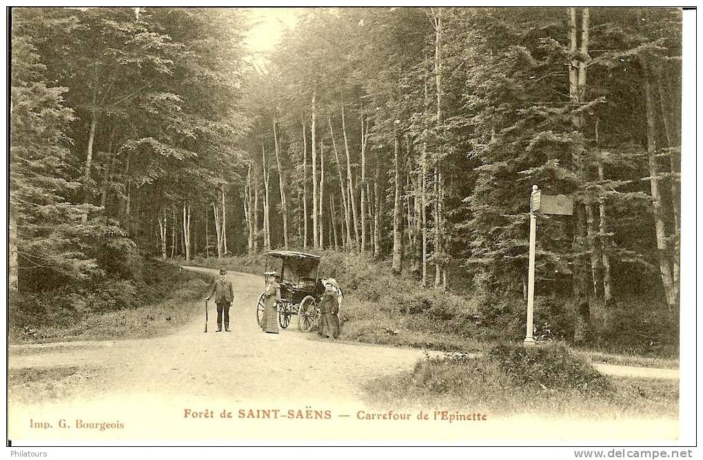 SAINT-SAENS  - La Forêt - Carrefour De L'Epinette - Saint Saens