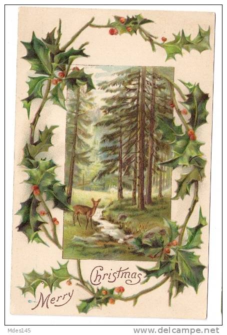 Deer Cerf Hert In Forest Holly Embossed Vintage Christmas Postcard Ca 1910 - Other & Unclassified