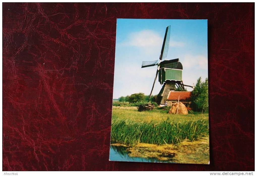 MOULIN A VENT SCHOONHOVEN HOLLANDE    CARTE POSTALE POST-CARD DES PAYS BAS  NEDERLANDS - Schoonhoven