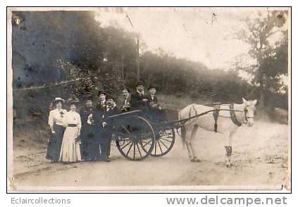 Carte Photo De Famille.?? Attelage Cheval - To Identify