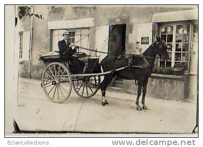 Carte Photo  Bel  Attelage Cheval Devant épicerie ? Bazar ? - To Identify