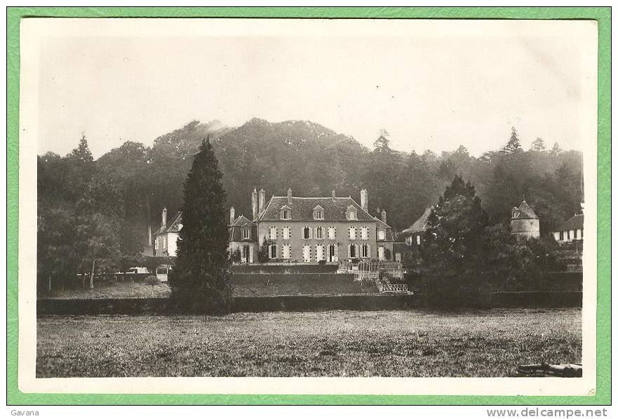 45 Environs De Courtenay - Chateau Des Rochelets - Courtenay