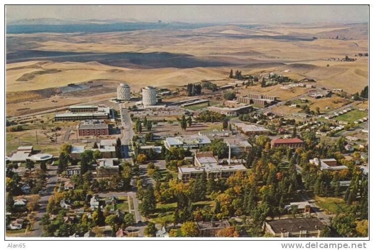 Cheney WA, Eastern Washington University EWU Campus From The Air, Residence Halls, 1960s Vintage Postcard - Other & Unclassified