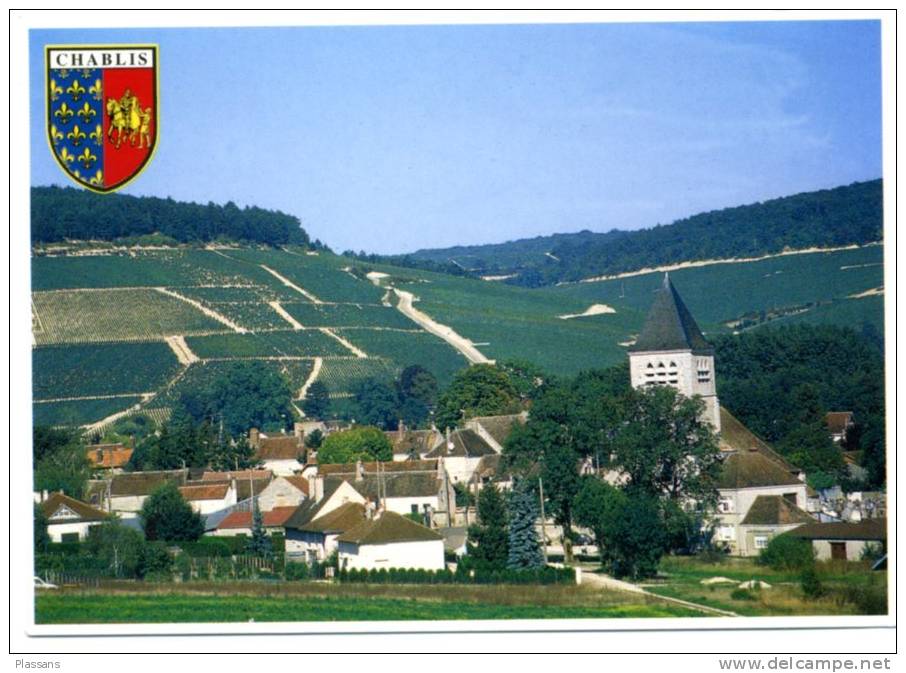 CHABLIS - YONNE - Vue Générale Du Vignoble De Chablis - Chablis