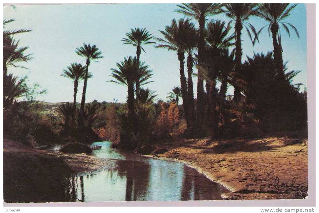 1 Cp Bechar La Palmeraie - Bechar (Colomb Béchar)