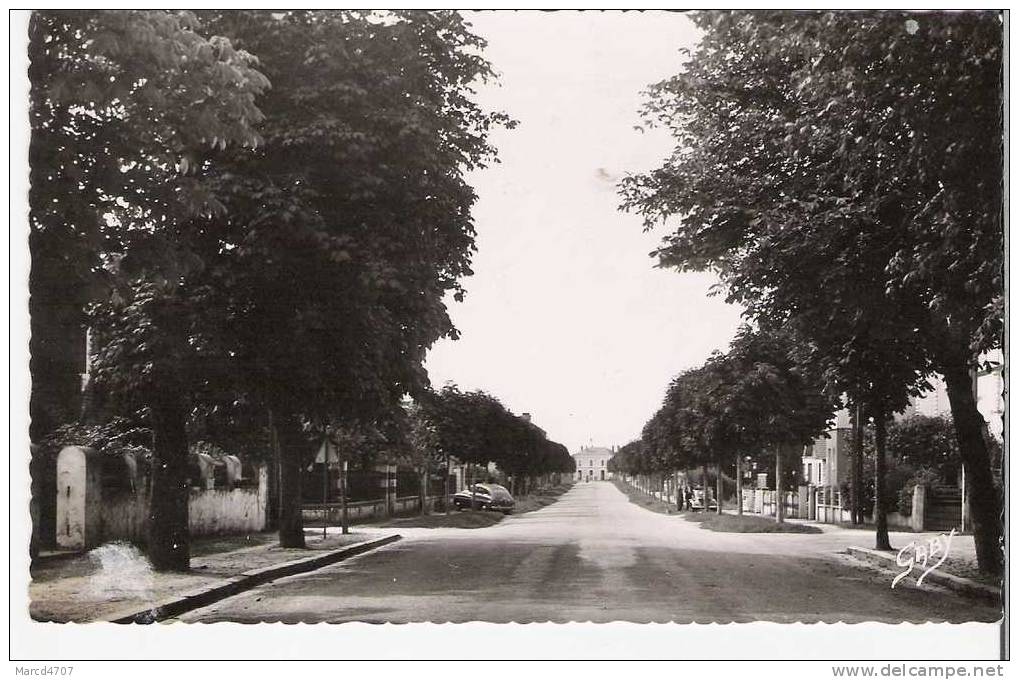 SAUJON 17 Charente Maritime Avenue Gambette Editions Artaud Carte Dentelée Véritable Photo - Saujon