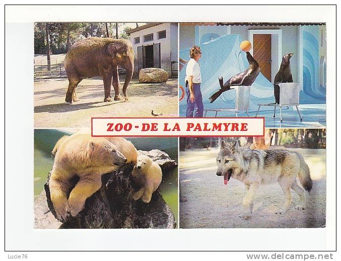 ZOO De LA PALMYRE  - 4 Vues :  Eléphant - Les Otaries Savantes - Ourse Et Son Ourson - Le Loup - Elephants