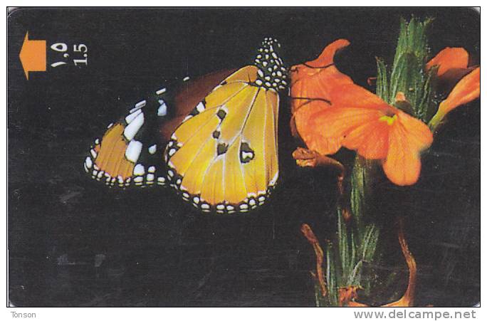 Oman,  OMN-G-34R, Plain Tiger, Butterfly, 2 Scans. - Oman