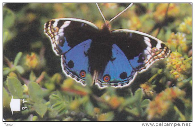 Oman,  OMN-G-34V, Blue Pansy, Butterfly, 2 Scans. - Oman