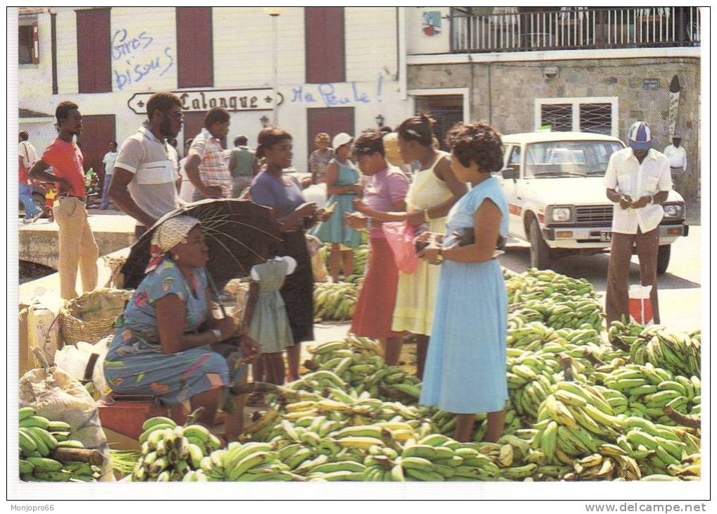 CPM De Saint Martin Aux Antilles Fançaise   Scène De Marché - Markets