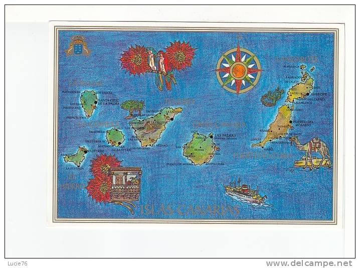 ISLAS CANARIAS  -  Mapa De Las Islas Canarias  - N°  519 - Fuerteventura