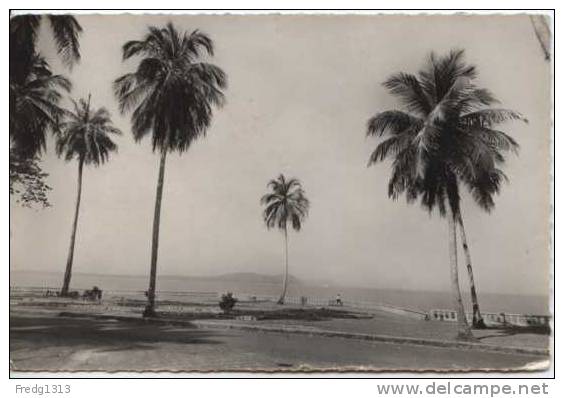 Guinee - Conakry - Un Coin De La Corniche - Guinée