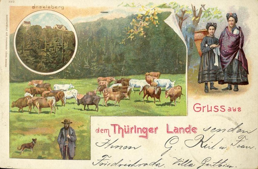Allemagne - Gruss Aus Dem Thüringer Lande - Agriculture - Berger Elevage Vaches - Folklore - Autres & Non Classés