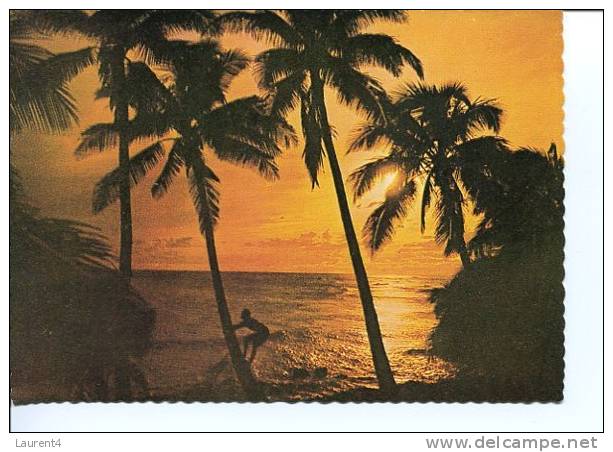 (215) 1 X Fidji - Fiji Postcard - Fiji