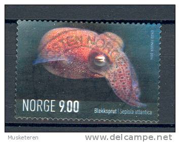 Norway 2004 Mi. 1492  9.00 Kr Seaworld Animals Meerestiere Atlantische Sepiole Octapus - Oblitérés