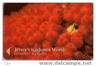 # JERSEY JER162 Gooseberry Sea Squirts 2 Gpt 01.97 20000ex Tres Bon Etat - [ 7] Jersey Und Guernsey