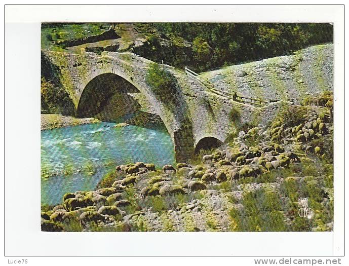 LES TRANSHUMANTS   -  Paysages De France - Alpes De Provence - N°  A 579 - Viehzucht