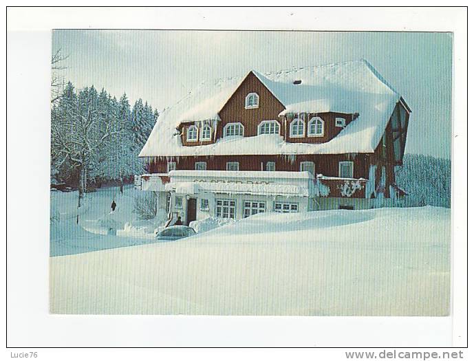 Goldener Rabe - Hohenhotel Und Wintersportplatz  -  FURTWANGEN - Furtwangen