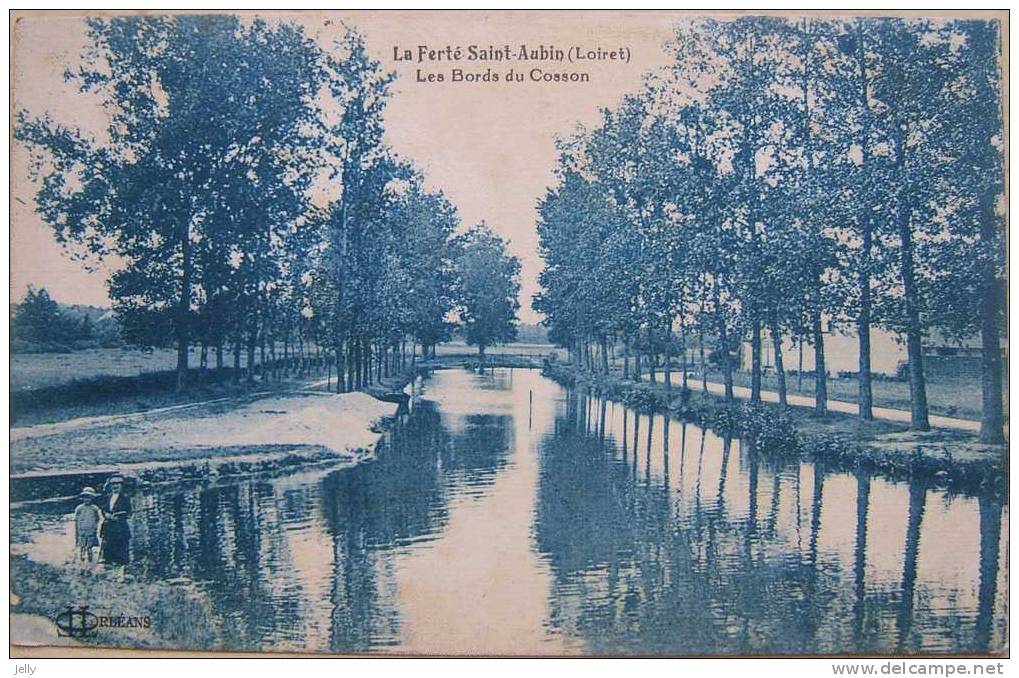 LA FERTE-SAINT-AUBIN (Loiret ) - Les Bords Du Cosson - La Ferte Saint Aubin