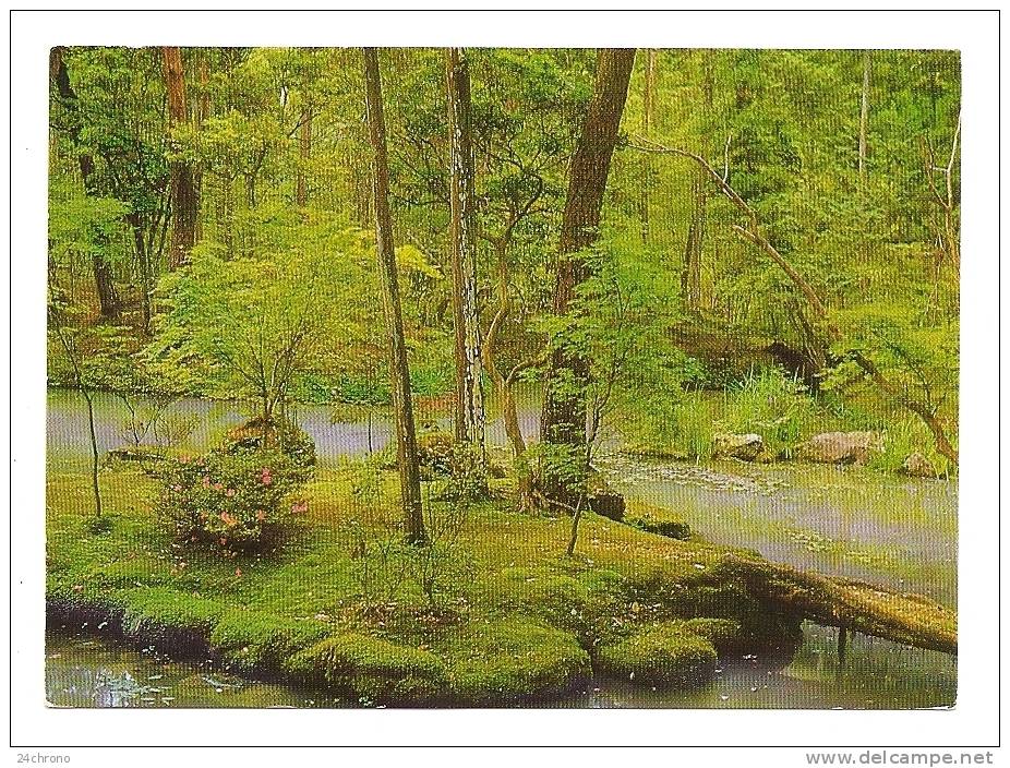 Japon: Garden Of Saiho-Ji Temple, Kyoto, Jardin, Par Avion (09-2477) - Kyoto