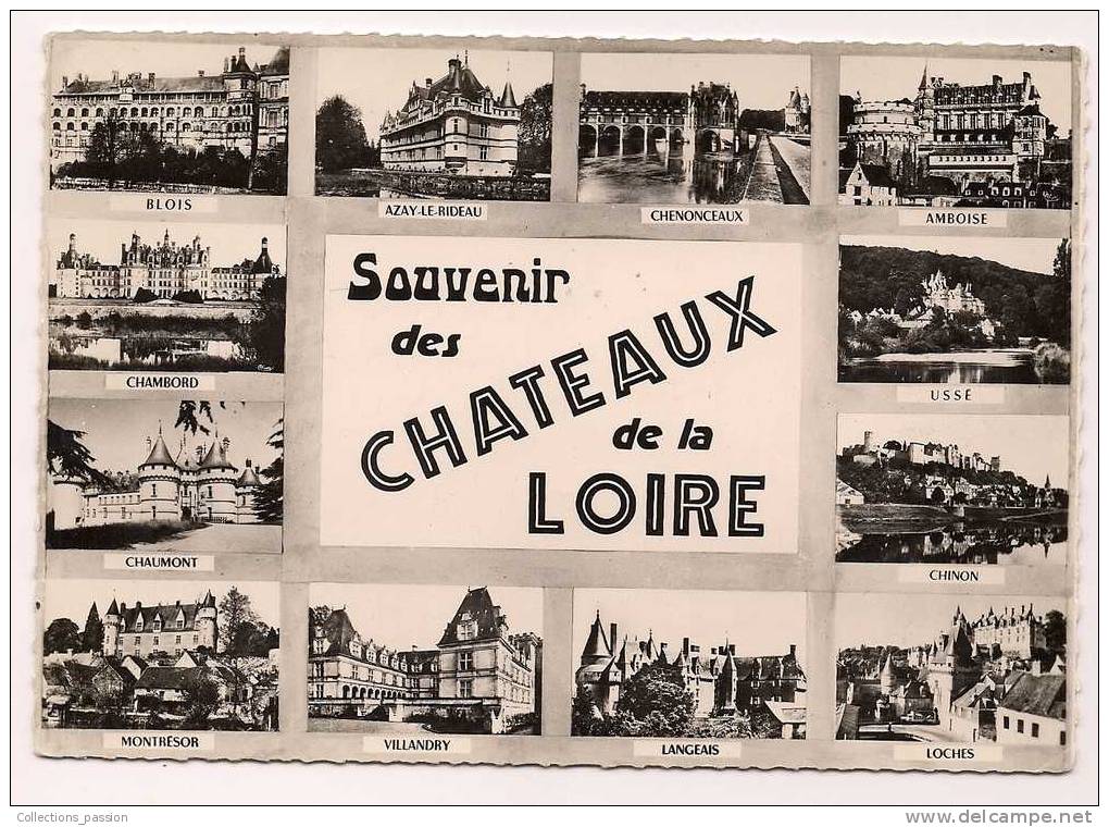 Cp , PAYS DE LOIRE , Souvenir Des Châteaux De La LOIRE , Voyagée 1963 - Châteaux