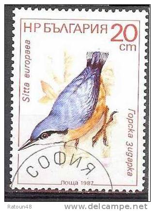 Sitelle- Oblitéré -Tchecoslovaquie    -    N°1048 - Y&T - Piciformes (pájaros Carpinteros)