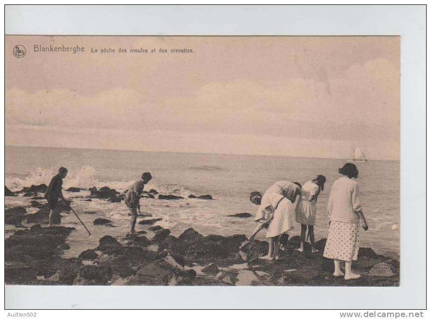 CP Blankenberge-Blankenberghe La Pèche Des Moules Et Des Crevettes 3416 - Blankenberge