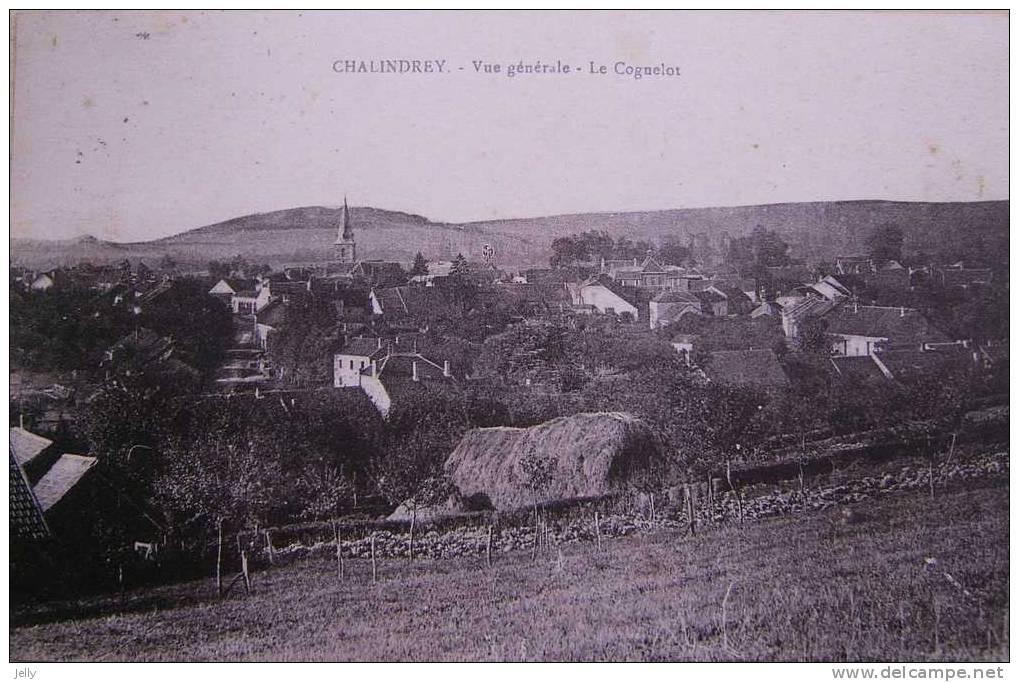 CHALINDREY - Vue Générale - Le Coguelot - Chalindrey