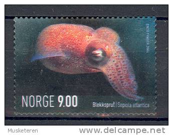 Norway 2004 Mi. 1492  9.00 Kr Meerestiere Sea Animals Atlantische Sepiole Octapus MNG - Ungebraucht