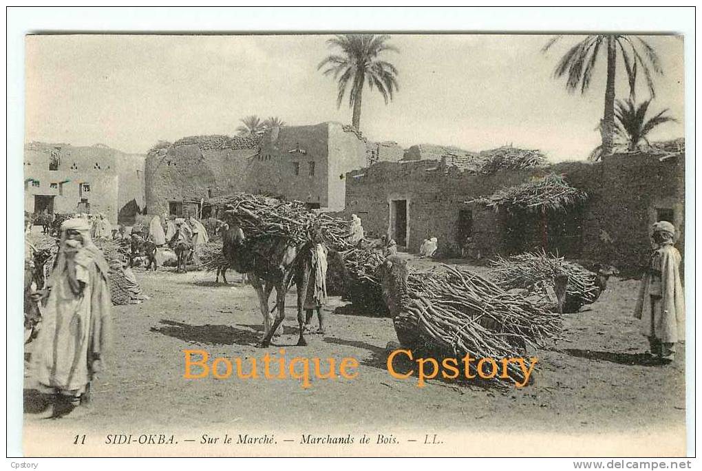 MARCHAND De BOIS Sur Le Marché De Sidi Okba - Dos Scané - Mercati