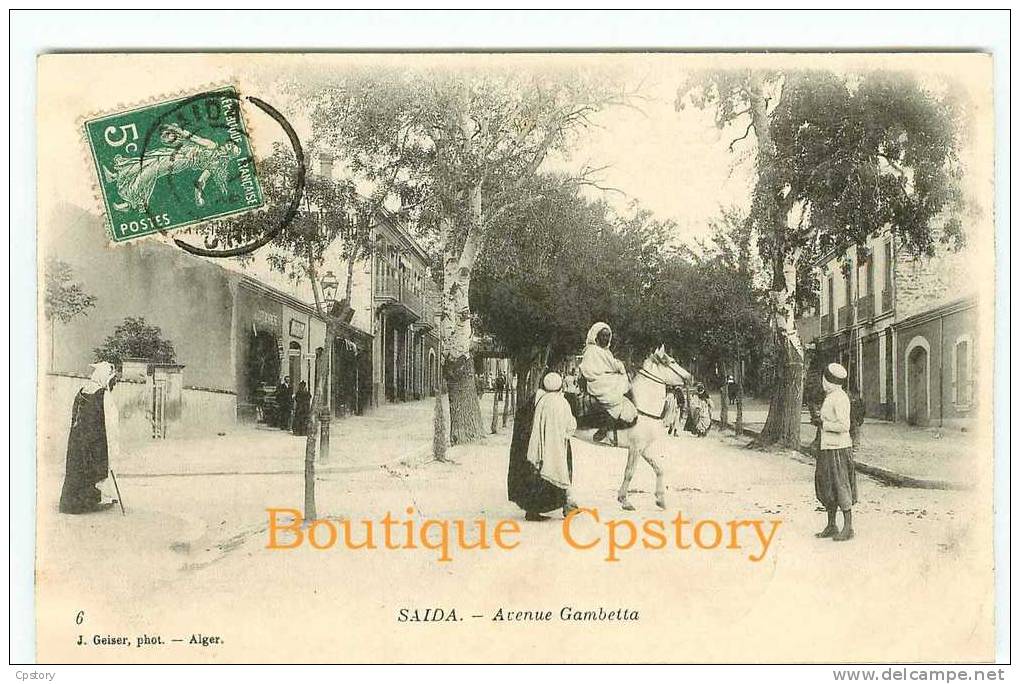 ALGERIE - SAIDA - Avenue Gambetta - Photo Geiser N° 6 - Dos Scané - Saïda